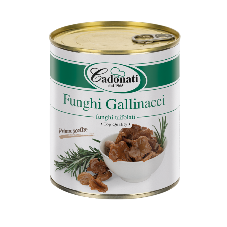 Funghi Gallinacci Funghi trifolati