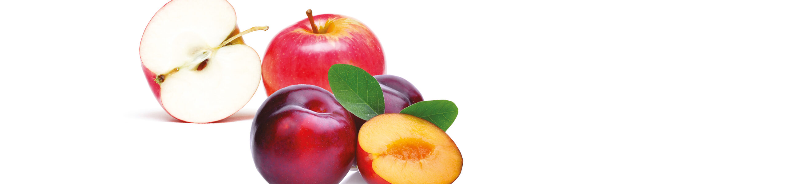 Purea di frutta monodose – Mela e Prugna