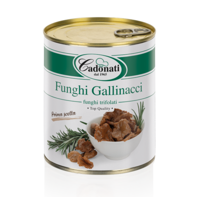 Funghi Gallinacci Funghi trifolati
