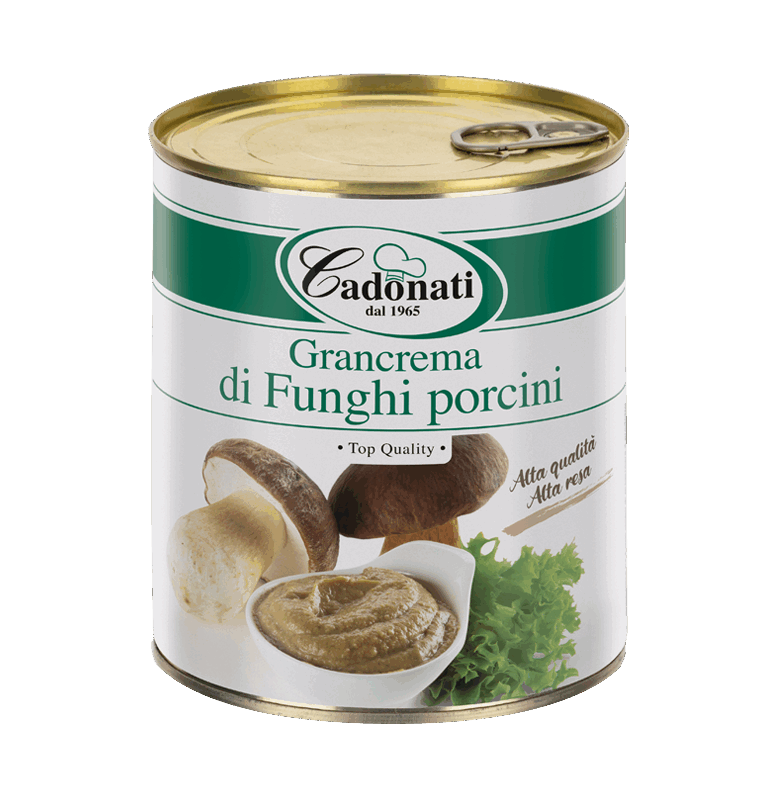 Grancrema di Funghi porcini