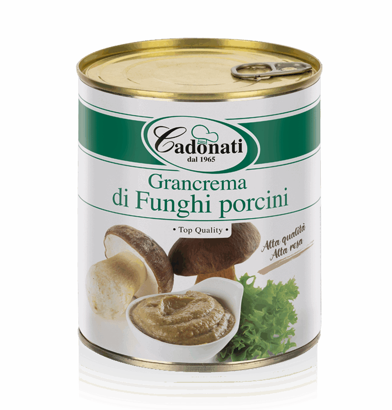Grancrema di Funghi porcini