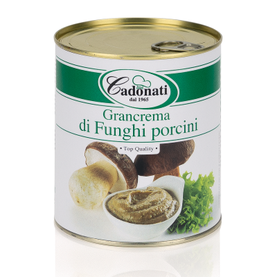 Grancrema di Funghi porcini