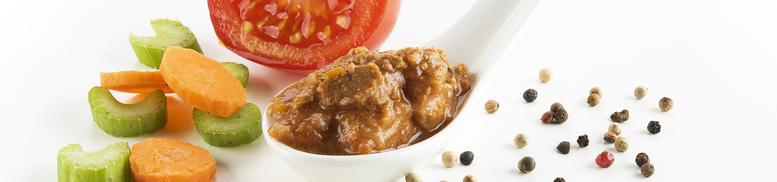 Granragù di Anatra