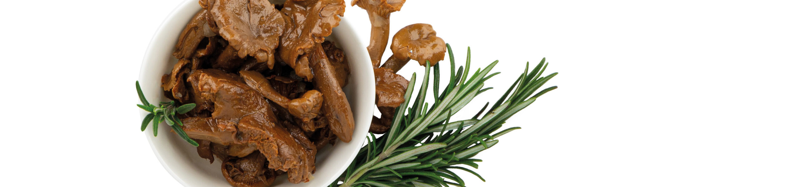 Funghi Gallinacci Funghi trifolati