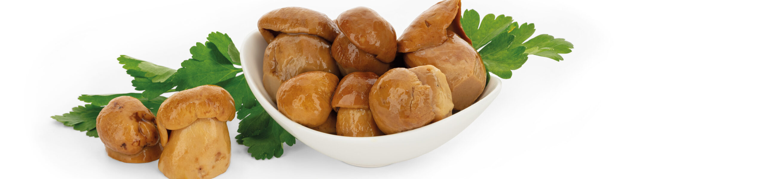 Porcini Antipasto interi in olio