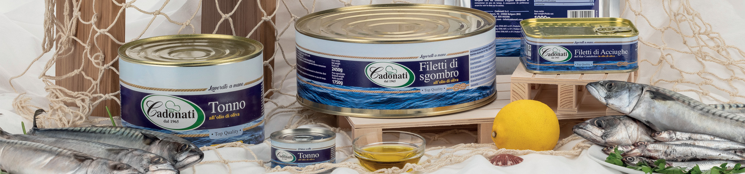 Filetti di Alici in olio di semi di girasole