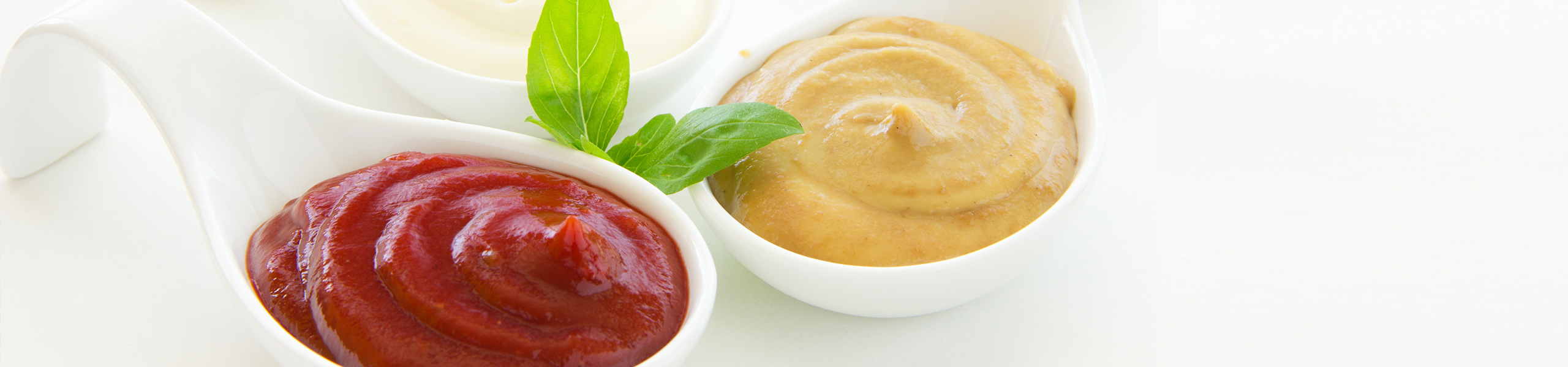 Salsa Dip piccante