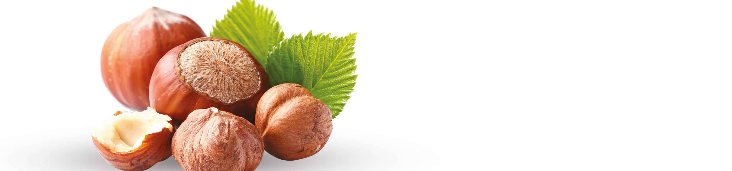 Crema al Cacao  Extra