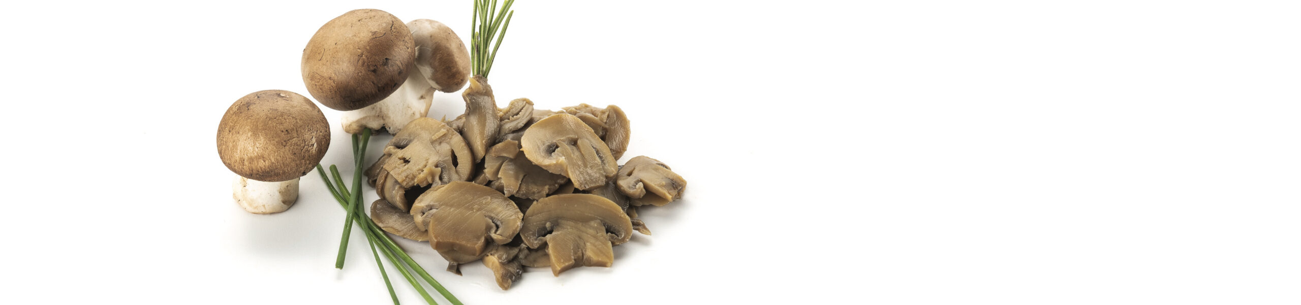 Funghi Champignons al naturale