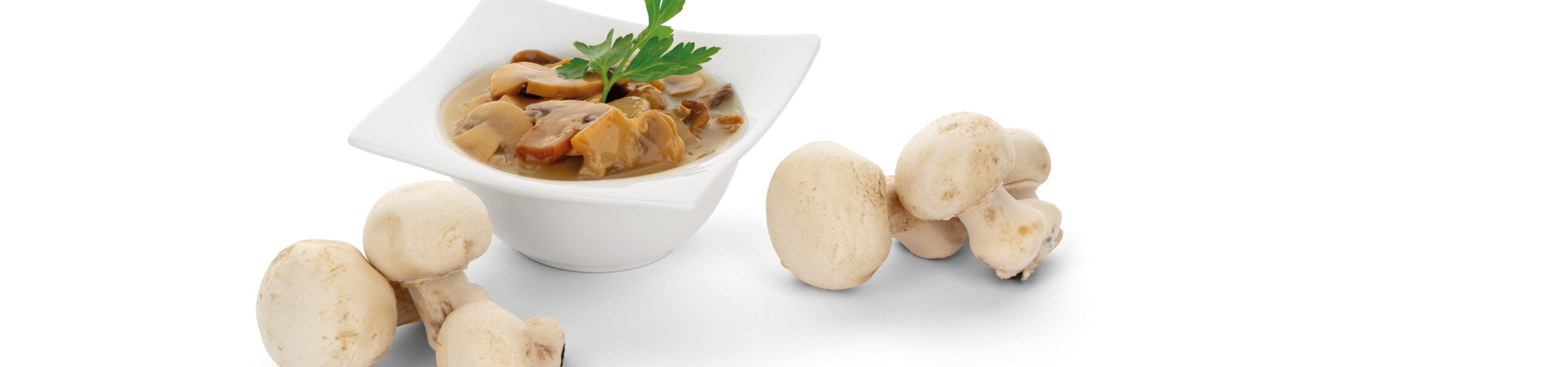 Tutto Champignons Funghi trifolati con crema