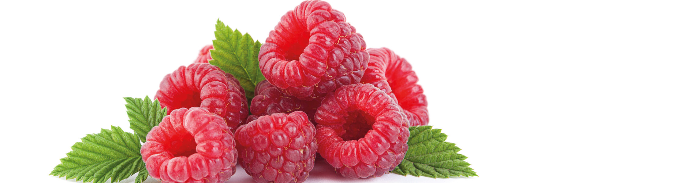 Dolcefrutto ai lamponi