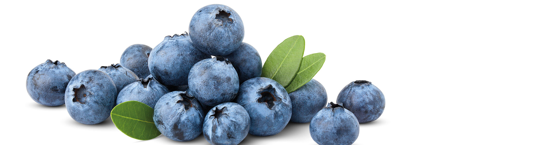 Dolcefrutto ai mirtilli