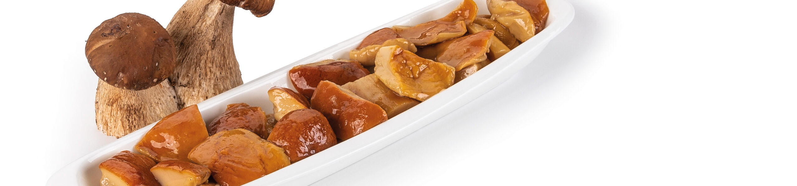 Porcini Antipasto tagliati in olio